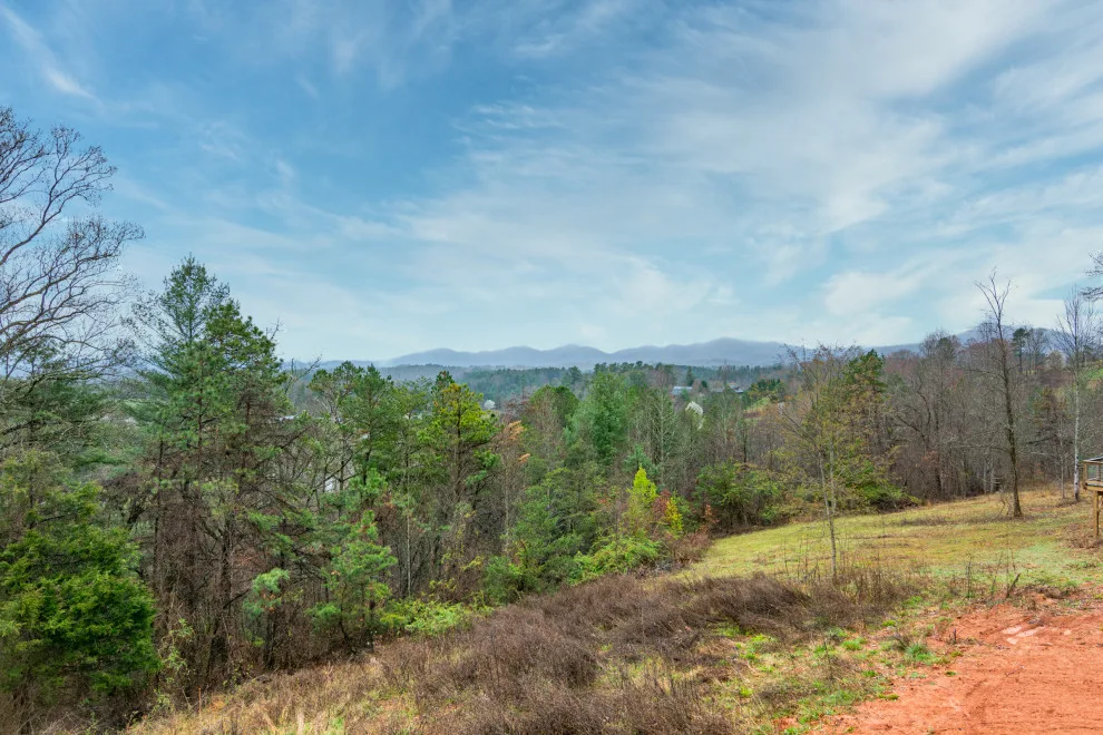 Boyd Hill Project by Evergreen Construct Inc. - Photo 12