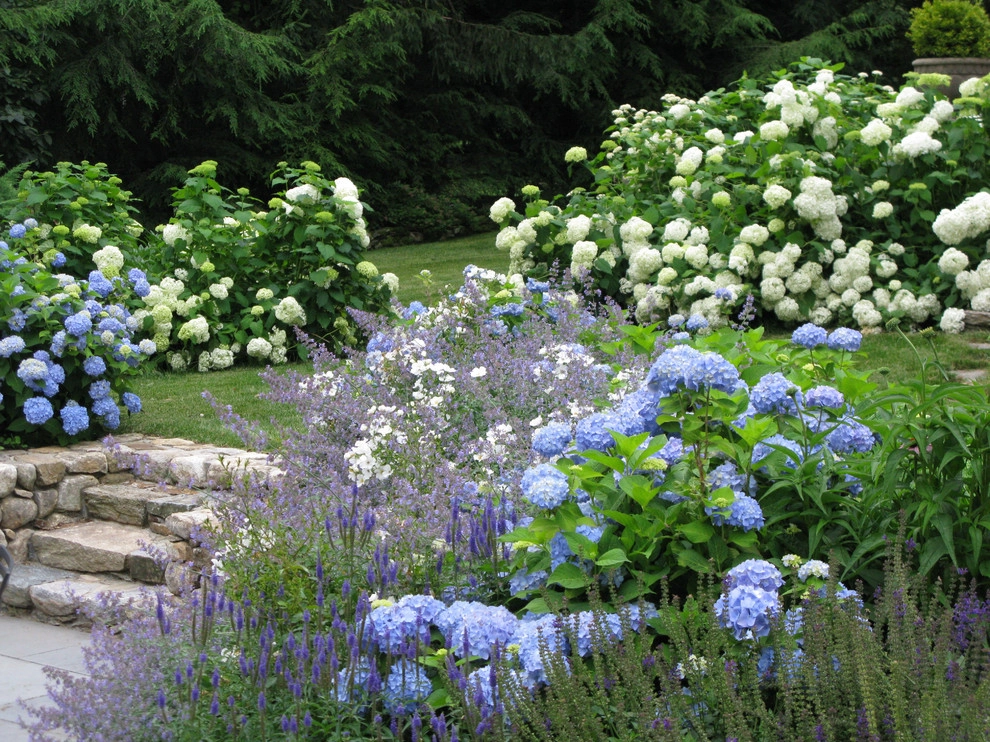 Blue and White Poolside Garden - Westport, CT by Austin Ganim Landscape Design, LLC - Photo 2