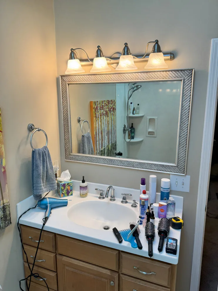 Brighton Woods Master Bath Renovation by Morrolina Construction - Photo 3