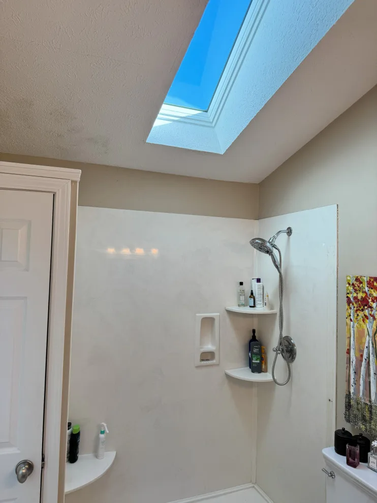 Brighton Woods Master Bath Renovation by Morrolina Construction - Photo 2