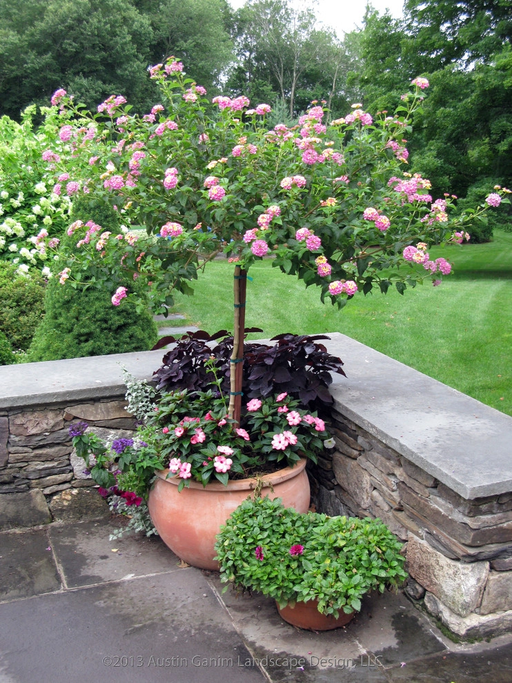 Planter & Container Garden Design - Fairfield County, CT by Austin Ganim Landscape Design, LLC - Photo 17