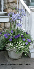 Planter & Container Garden Design - Fairfield County, CT by Austin Ganim Landscape Design, LLC - Photo 25