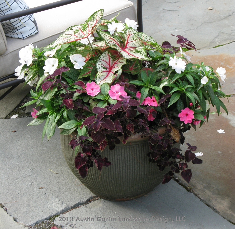 Planter & Container Garden Design - Fairfield County, CT by Austin Ganim Landscape Design, LLC - Photo 8