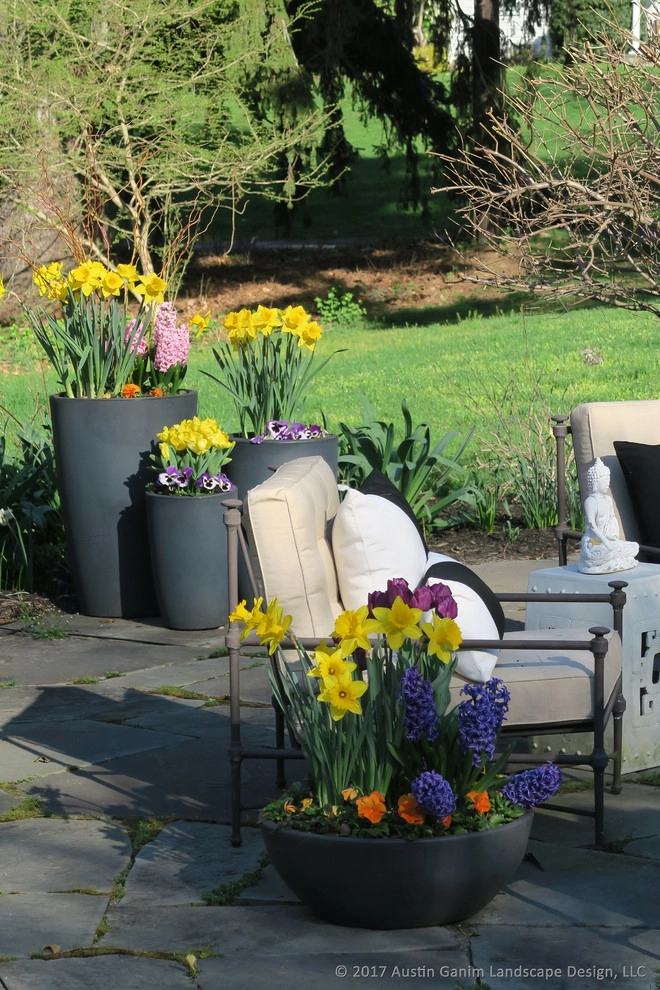Planter & Container Garden Design - Fairfield County, CT by Austin Ganim Landscape Design, LLC - Photo 2