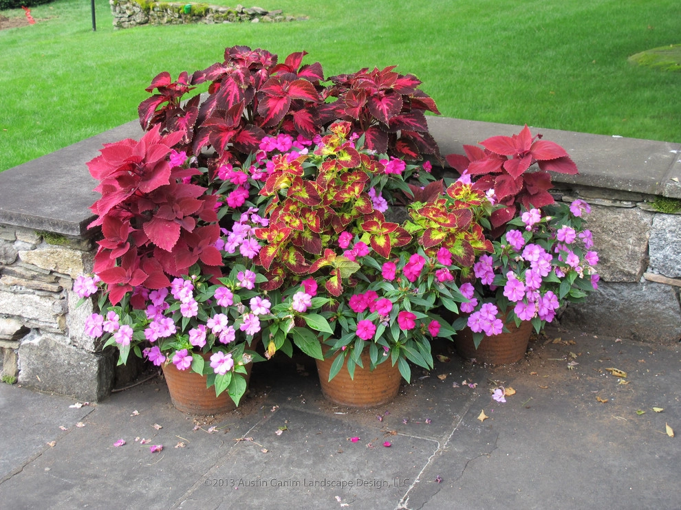 Planter & Container Garden Design - Fairfield County, CT by Austin Ganim Landscape Design, LLC - Photo 39