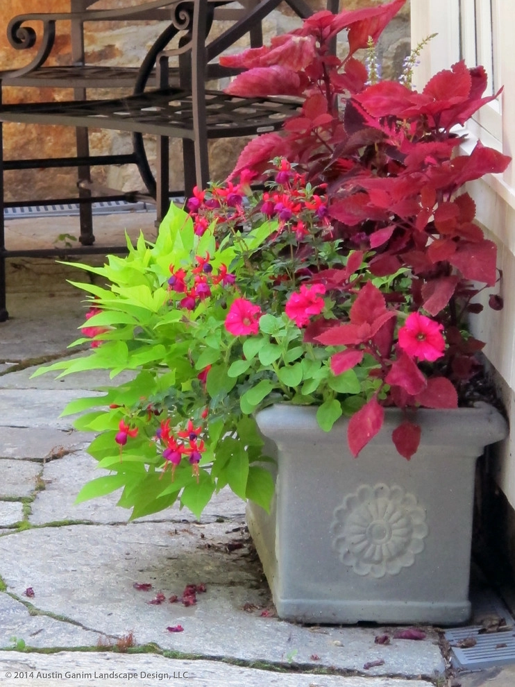 Planter & Container Garden Design - Fairfield County, CT by Austin Ganim Landscape Design, LLC - Photo 21