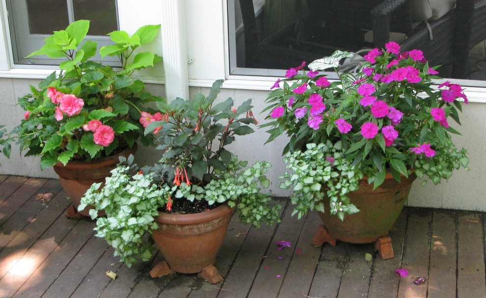 Planter & Container Garden Design - Fairfield County, CT by Austin Ganim Landscape Design, LLC - Photo 7