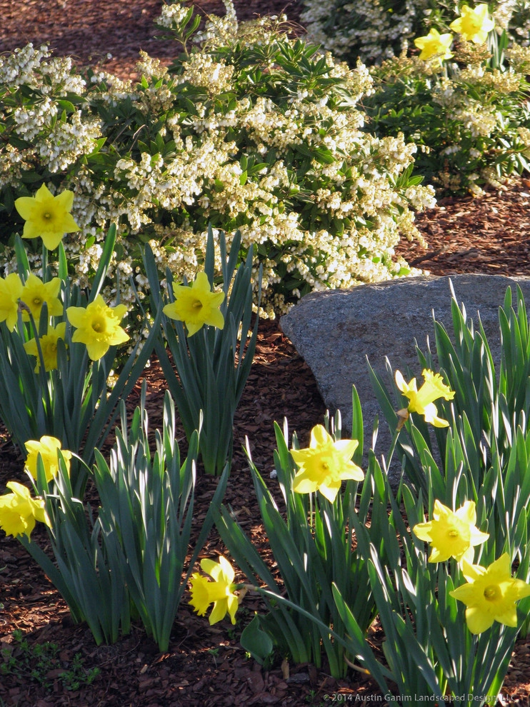 Planter & Container Garden Design - Fairfield County, CT by Austin Ganim Landscape Design, LLC - Photo 30