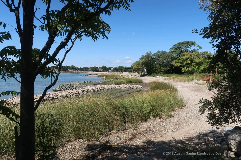 Living Shoreline by Austin Ganim Landscape Design, LLC - Photo 5