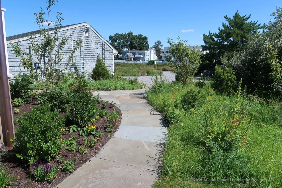 Living Shoreline by Austin Ganim Landscape Design, LLC - Photo 2