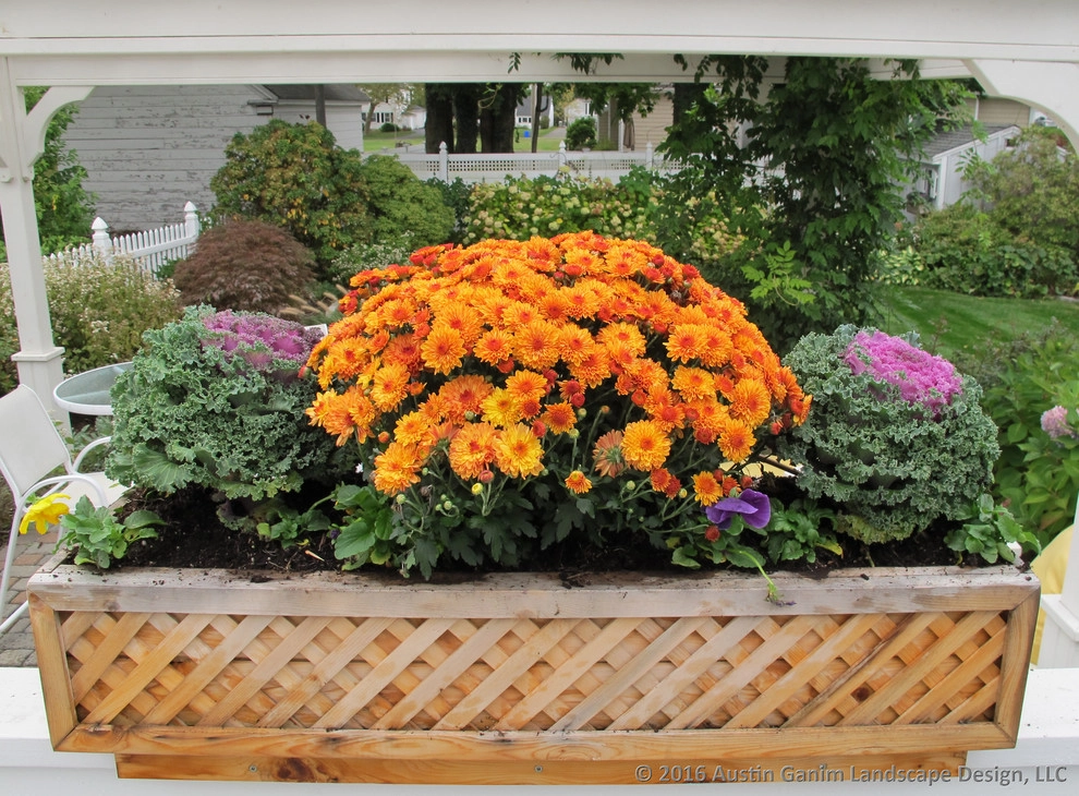 Planter & Container Garden Design - Fairfield County, CT by Austin Ganim Landscape Design, LLC - Photo 5