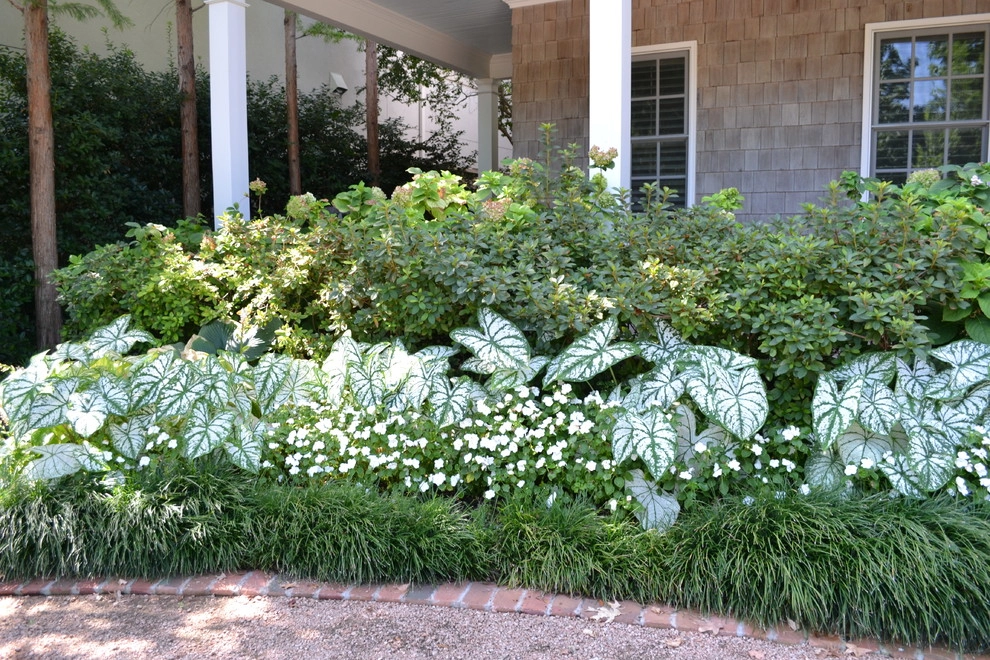 Drive Up Appeal by Brumley Gardens - Photo 3
