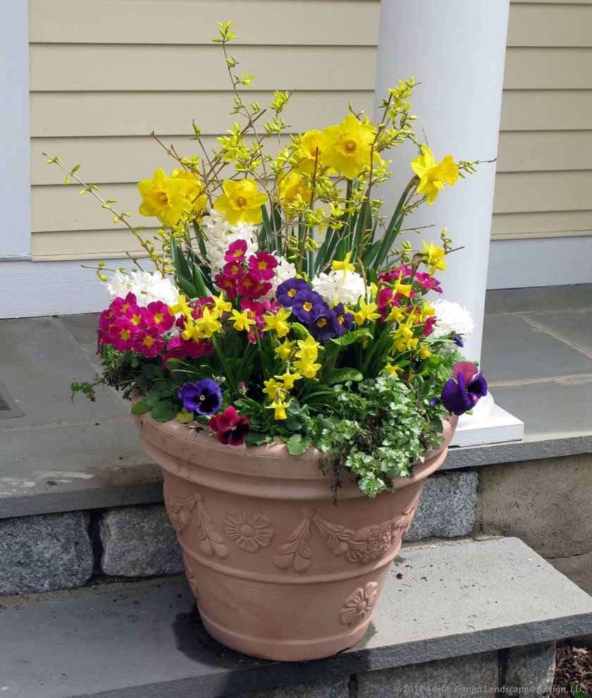 Planter & Container Garden Design - Fairfield County, CT by Austin Ganim Landscape Design, LLC - Photo 14