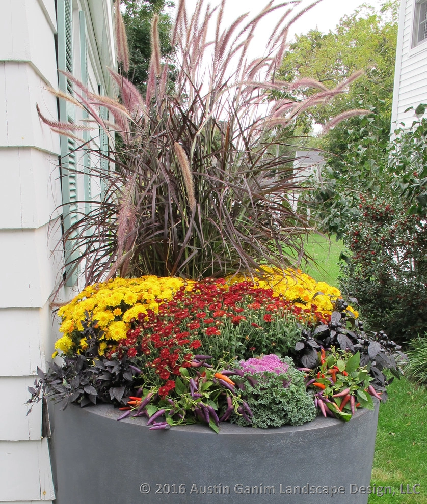 Planter & Container Garden Design - Fairfield County, CT by Austin Ganim Landscape Design, LLC - Photo 34