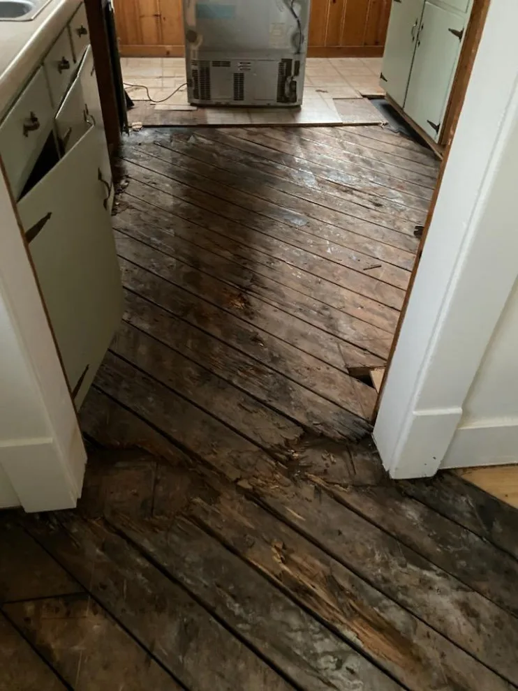 Clarendon Interior Flooring by Construction Straight Up - Photo 4