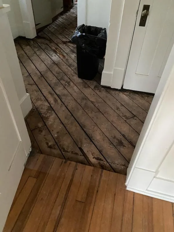Clarendon Interior Flooring by Construction Straight Up - Photo 3