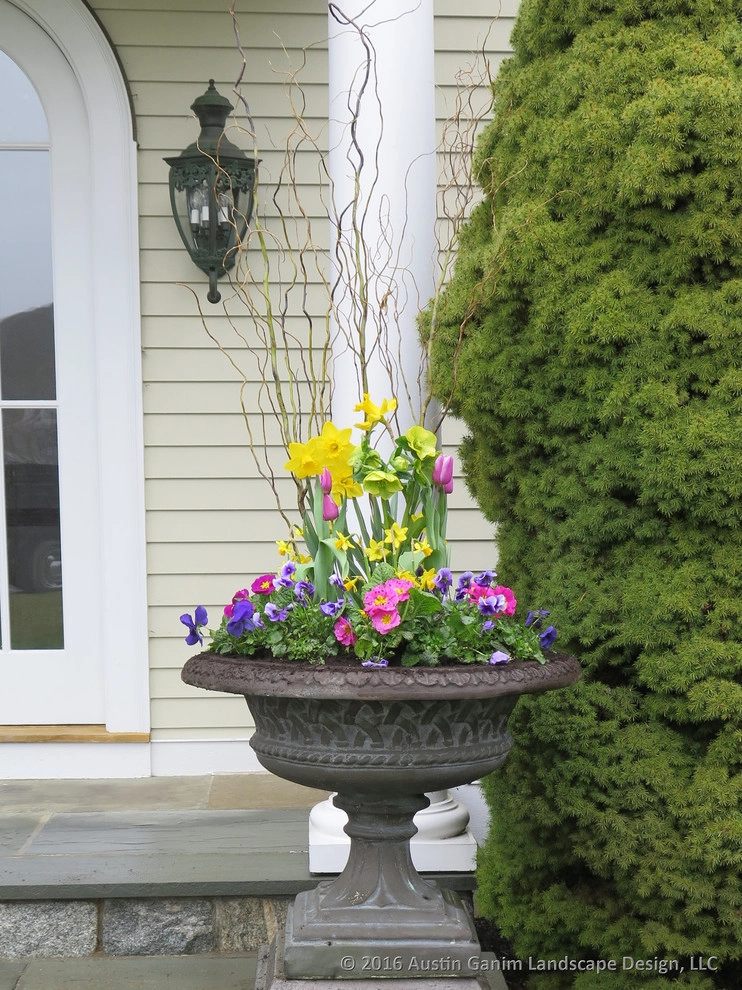 Planter & Container Garden Design - Fairfield County, CT by Austin Ganim Landscape Design, LLC - Photo 18