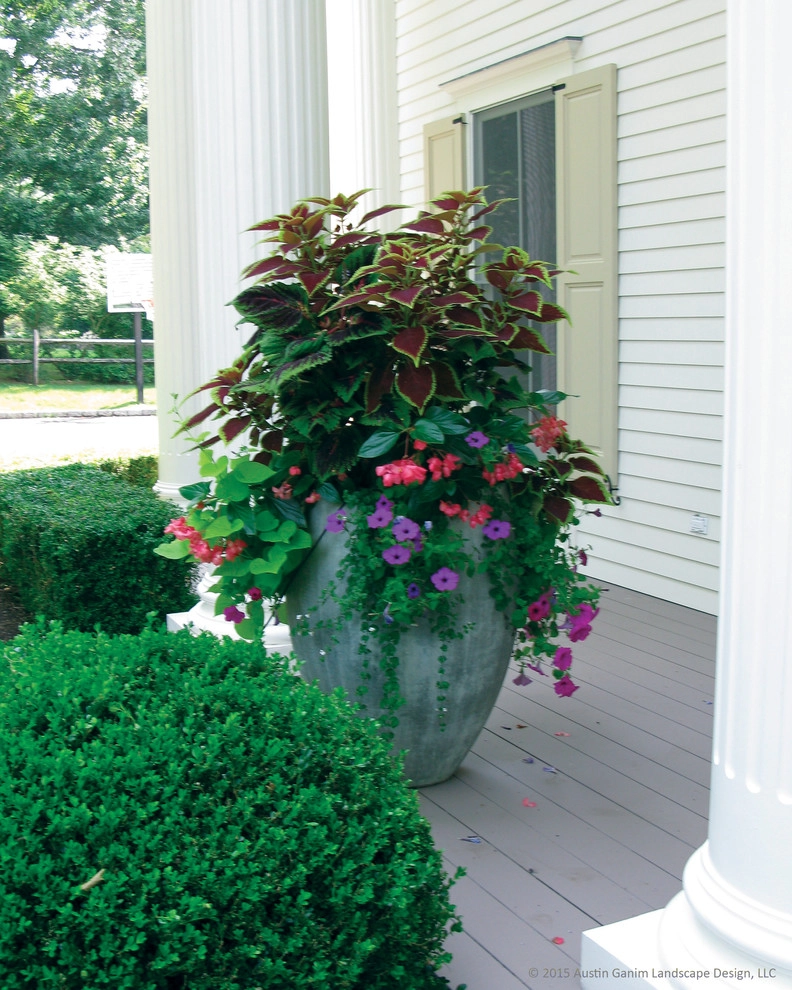 Planter & Container Garden Design - Fairfield County, CT by Austin Ganim Landscape Design, LLC - Photo 12