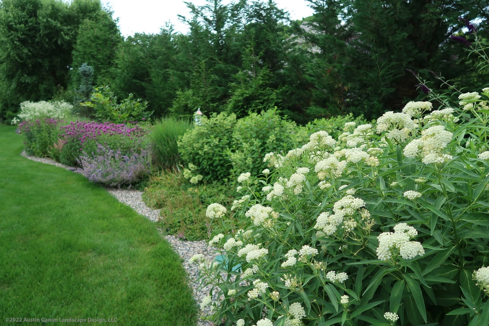 Hillside Pollinator Garden by Austin Ganim Landscape Design, LLC - Photo 4