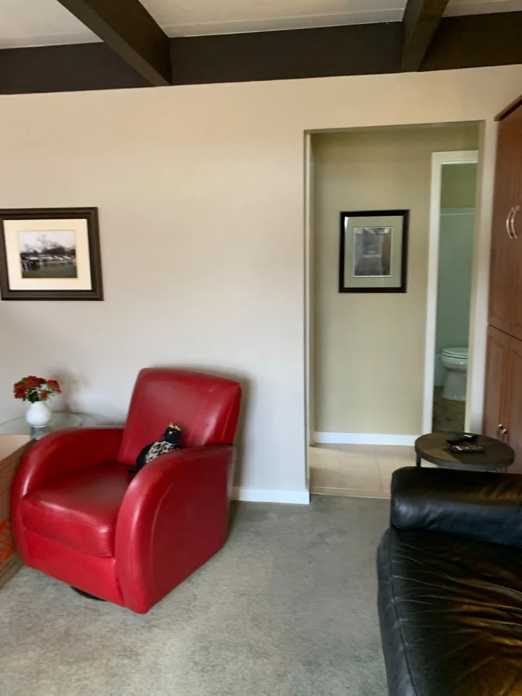 Mid Century Restoration 2022 by Mark Hammer Construction LTD. - Photo 19