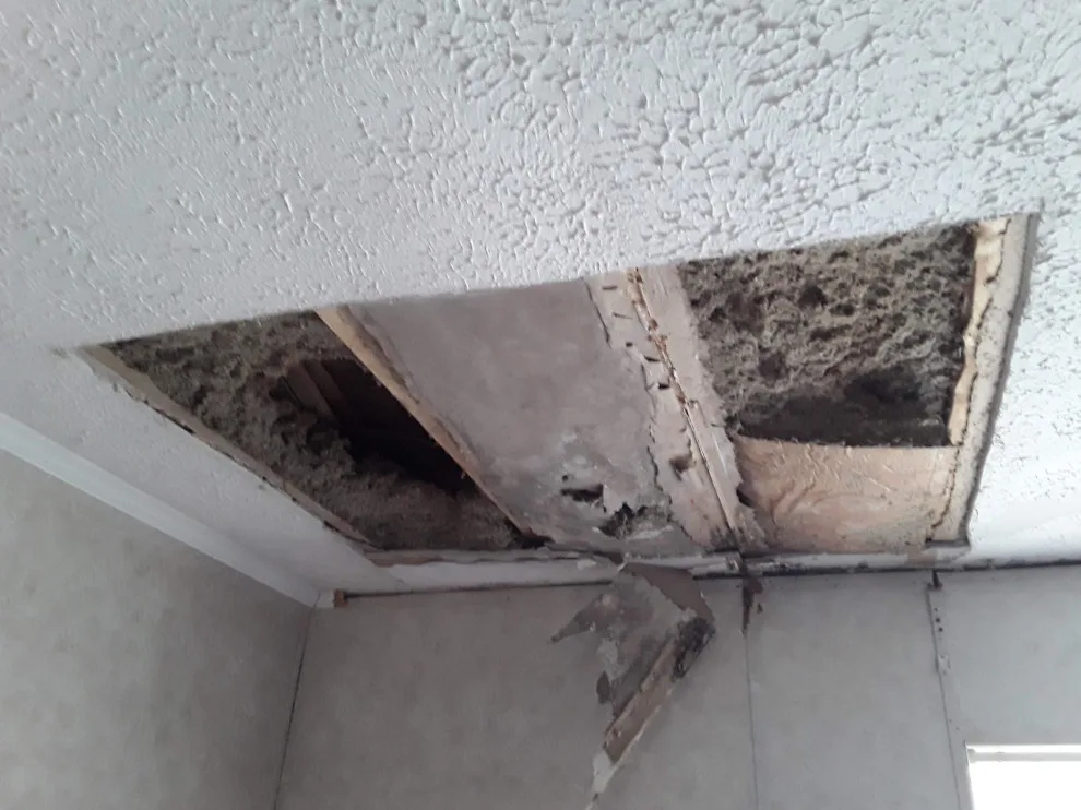 additional random job images by Godwin Construction LLC - Photo 4