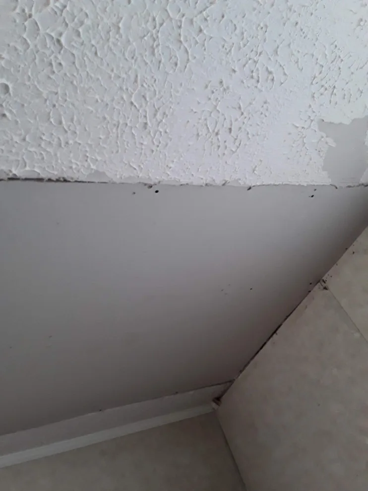 additional random job images by Godwin Construction LLC - Photo 16