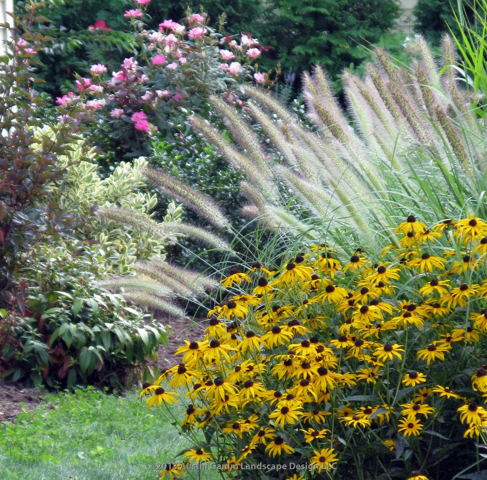 Reinventing the Classic Cape - Fairfield, CT by Austin Ganim Landscape Design, LLC - Photo 8