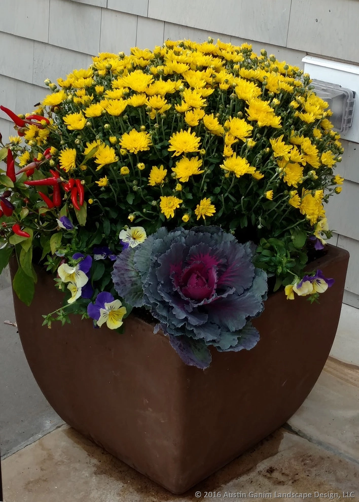 Planter & Container Garden Design - Fairfield County, CT by Austin Ganim Landscape Design, LLC - Photo 9