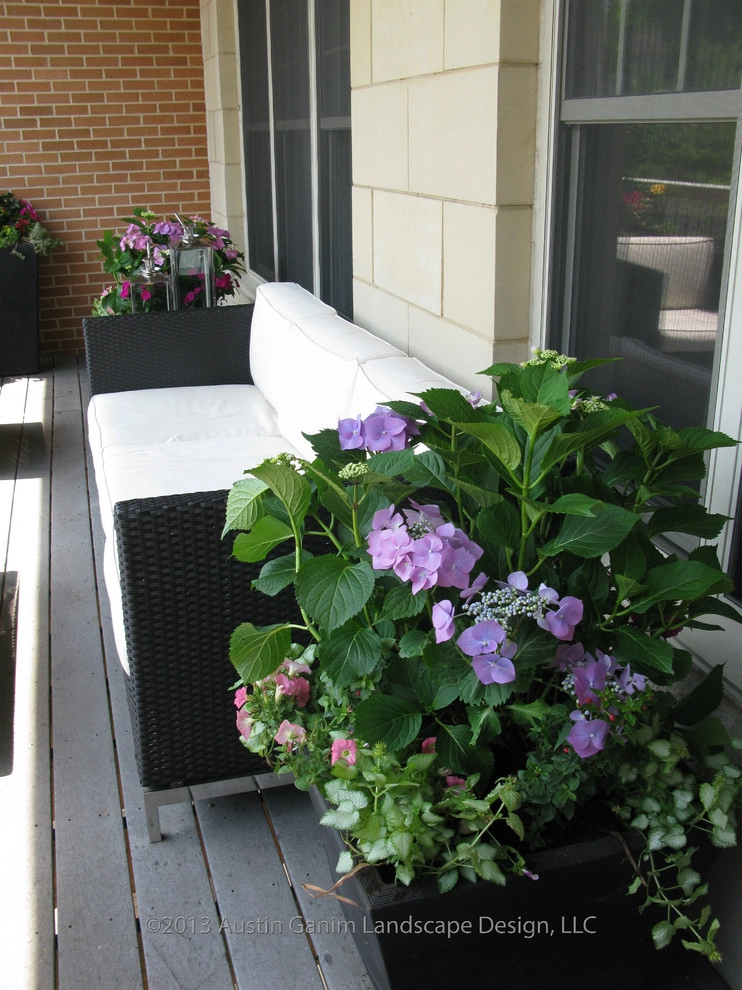 Planter & Container Garden Design - Fairfield County, CT by Austin Ganim Landscape Design, LLC - Photo 6