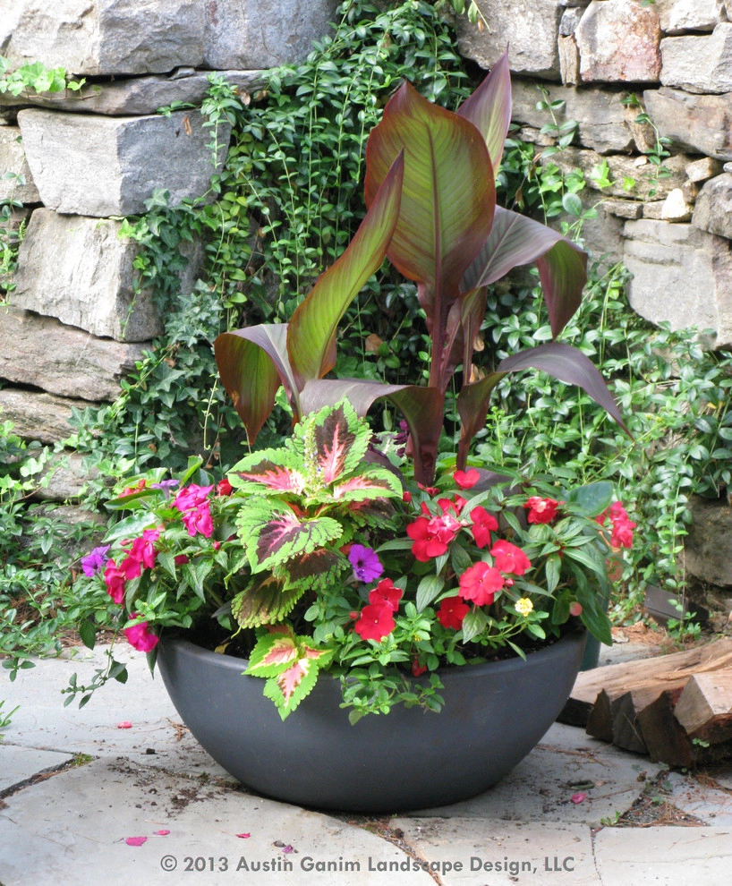 Planter & Container Garden Design - Fairfield County, CT by Austin Ganim Landscape Design, LLC - Photo 13