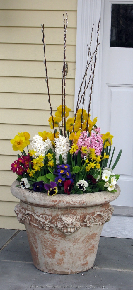 Planter & Container Garden Design - Fairfield County, CT by Austin Ganim Landscape Design, LLC - Photo 46