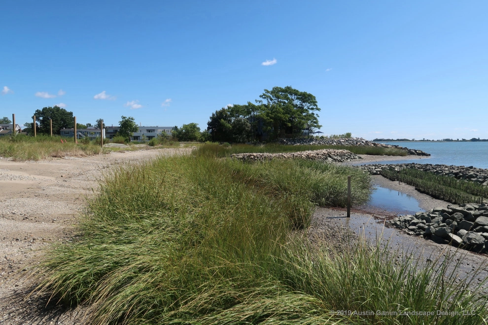 Living Shoreline by Austin Ganim Landscape Design, LLC - Photo 4
