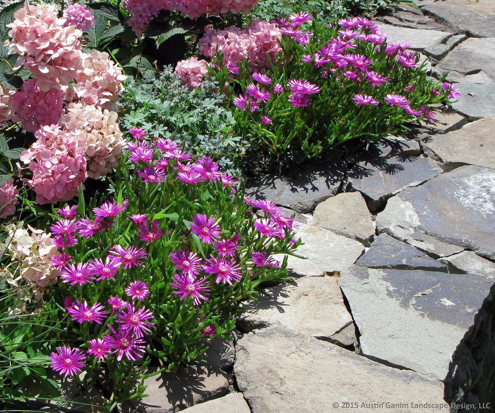 Petite Pool Garden - Westport, CT by Austin Ganim Landscape Design, LLC - Photo 8