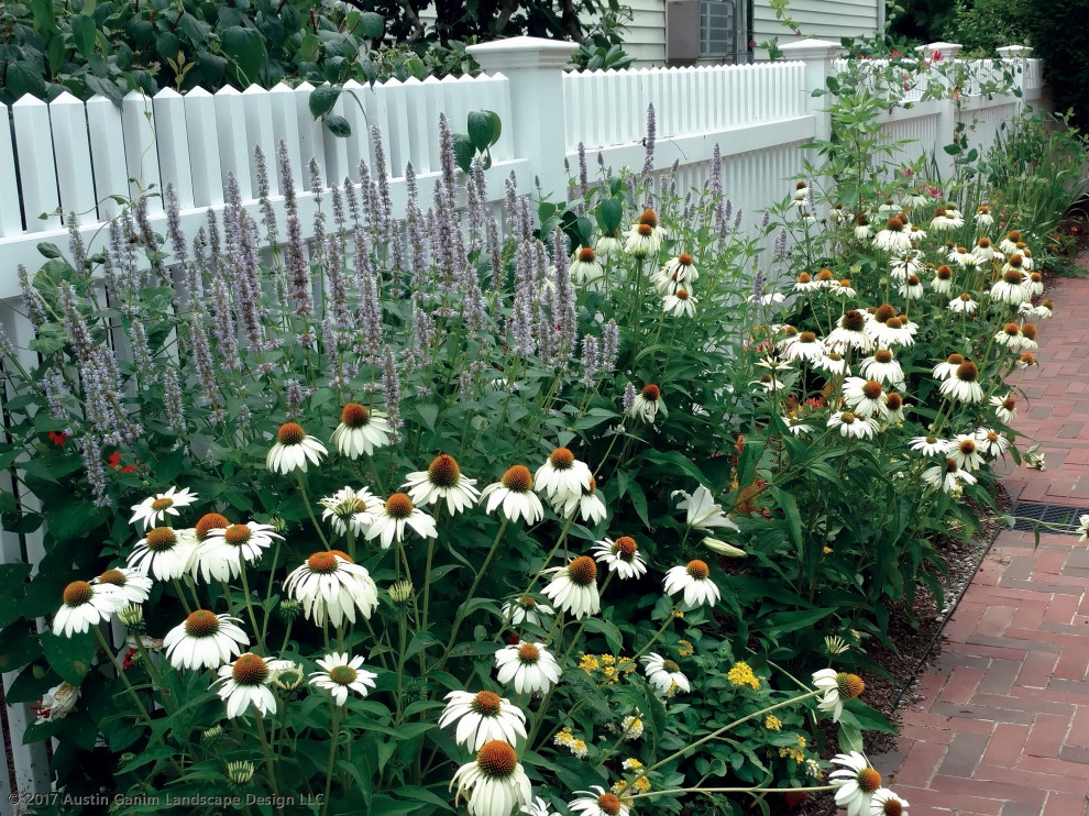 Cottage Garden - Southport, CT by Austin Ganim Landscape Design, LLC - Photo 4