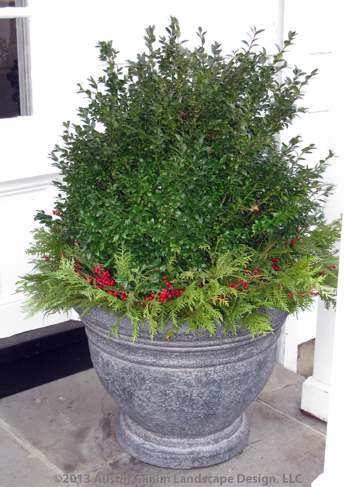 Seasonal Winter Decor & Containers - Fairfield County by Austin Ganim Landscape Design, LLC - Photo 10
