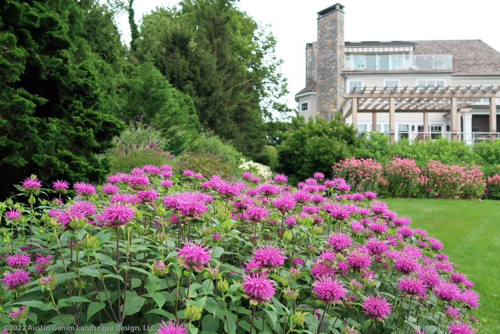 Hillside Pollinator Garden by Austin Ganim Landscape Design, LLC - Photo 12