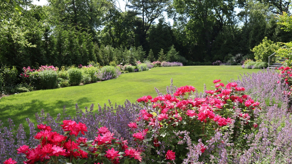 Hillside Pollinator Garden by Austin Ganim Landscape Design, LLC - Photo 6