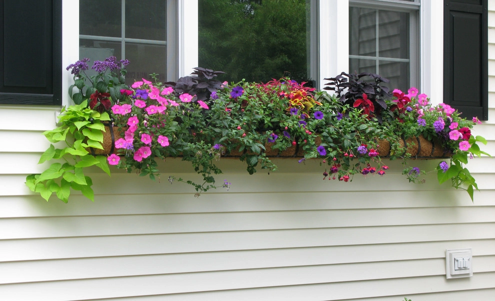 Planter & Container Garden Design - Fairfield County, CT by Austin Ganim Landscape Design, LLC - Photo 40