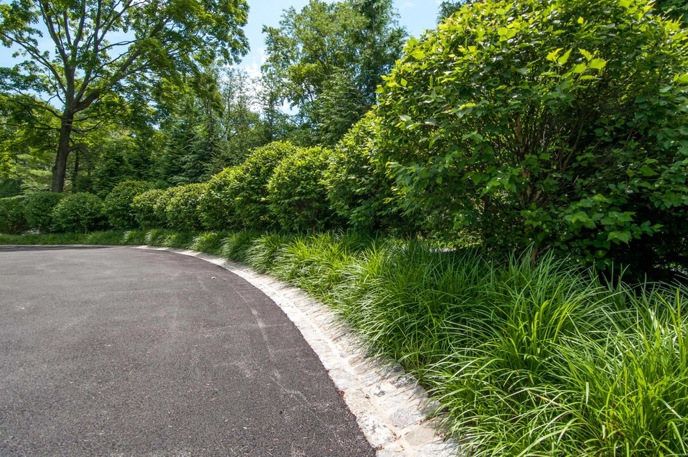 Westchester Transitional Landscape and Pool by Sean Jancski Landscape Architects LLC - Photo 6