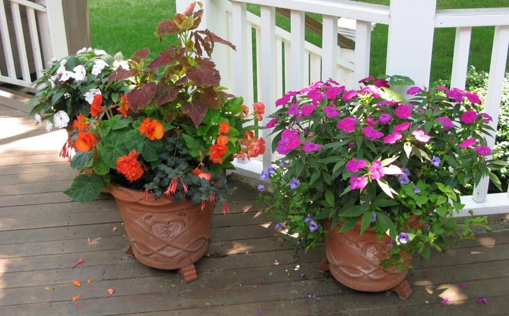 Planter & Container Garden Design - Fairfield County, CT by Austin Ganim Landscape Design, LLC - Photo 16