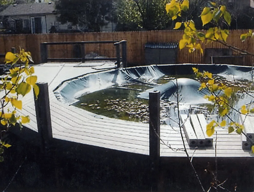 Decks for Pools and Spas by Round Table Construction LLC - Photo 3