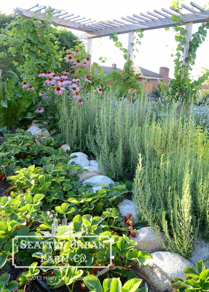 Seattle Urban Farm Company - Photo 9