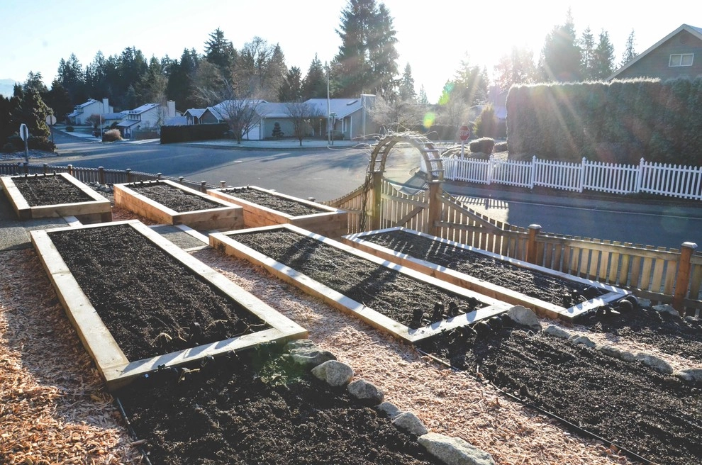 Front Yard Farm by Seattle Urban Farm Company - Photo 2