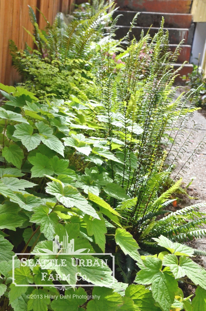 Seattle Urban Farm Company - Photo 11