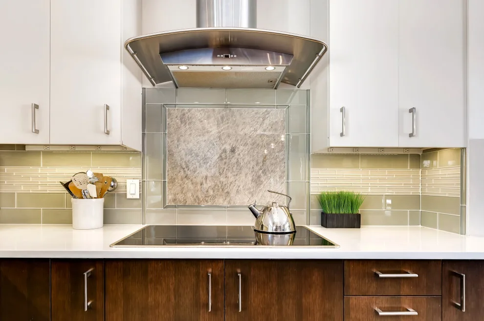 Dineen Home by Rodwin Architecture & Skycastle Construction - Photo 30