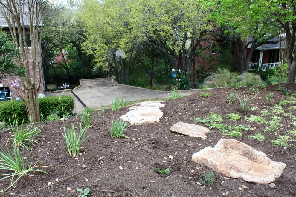 Regents Park by Seedlings Landscape Design Build - Photo 8