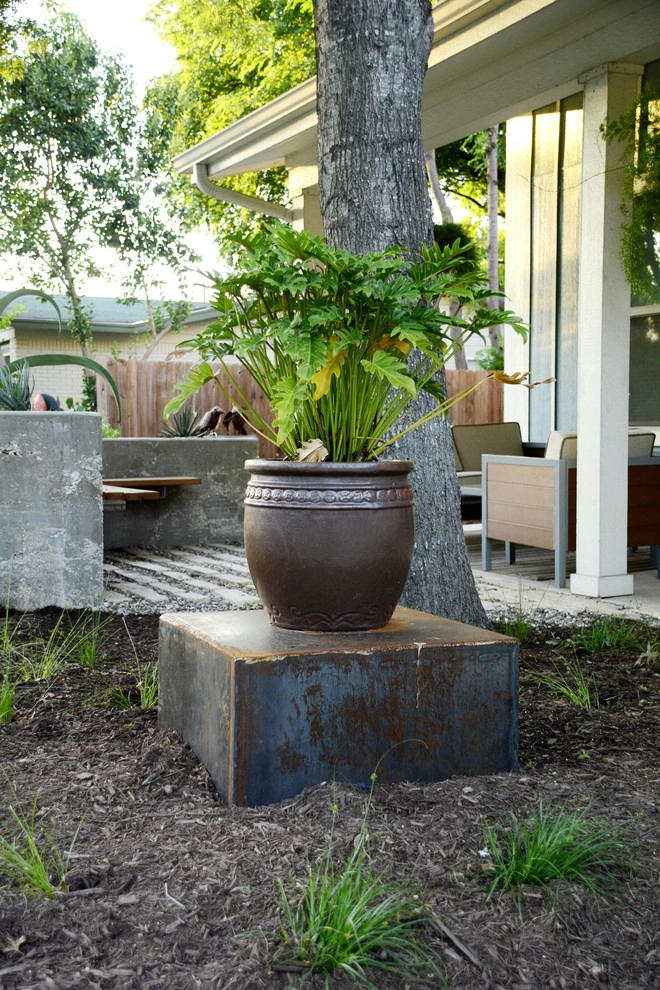 Fortview by Seedlings Landscape Design Build - Photo 9