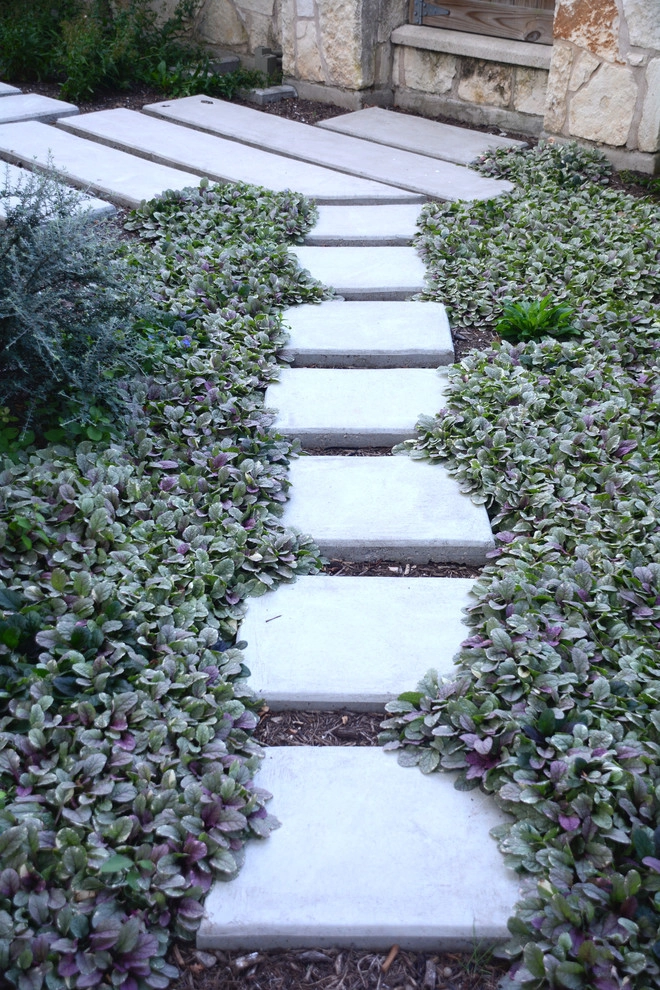 South Lamar by Seedlings Landscape Design Build - Photo 8