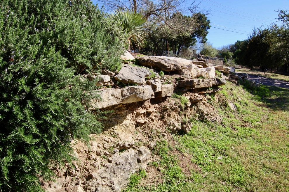 River Hills by Seedlings Landscape Design Build - Photo 5