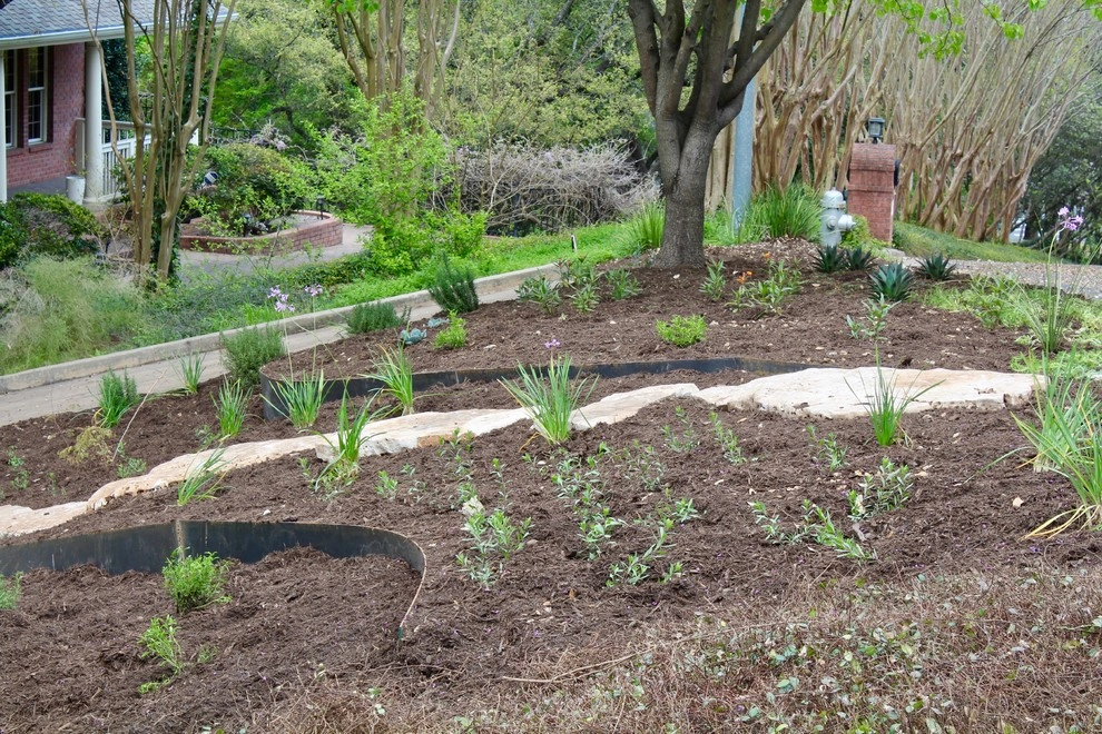 Regents Park by Seedlings Landscape Design Build - Photo 7